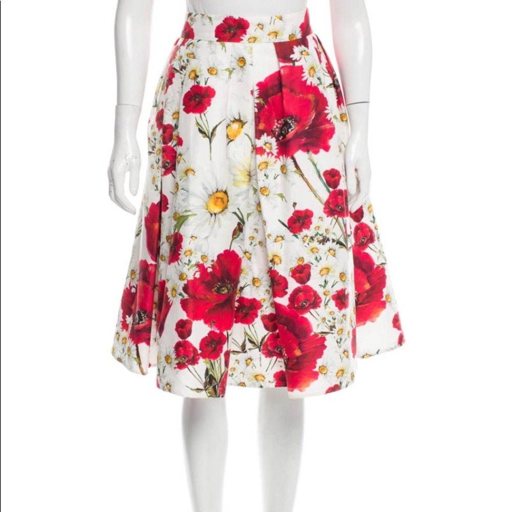 Beautiful Dolce & Gabbana Skirt